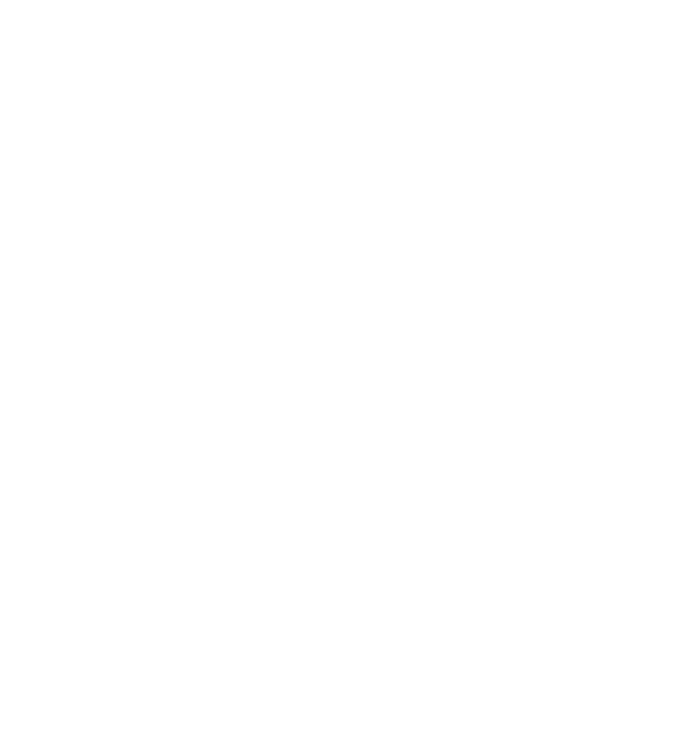www.ankungfu.com