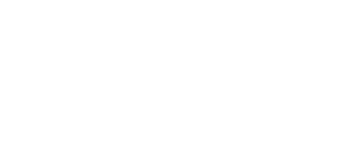 www.ankungfu.com